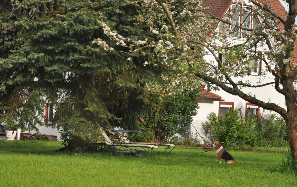 Haeuser Der Villa Italia Marktheidenfeld Bagian luar foto